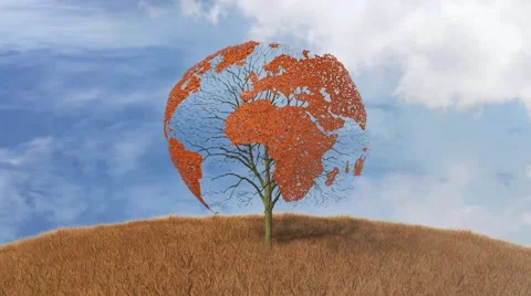 World map on a tree, falling leaves Stock Footage 43736522