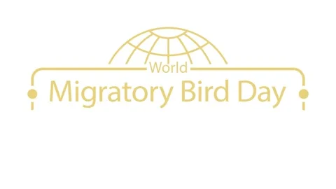 World Migratory Bird Day Video stock 319011278