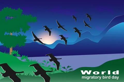 World migratory bird day Stock Illustration