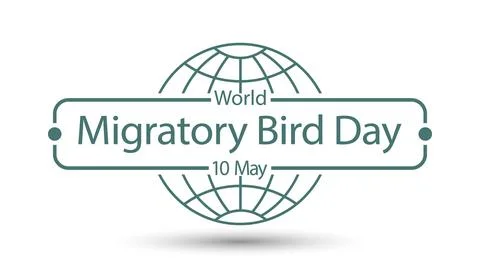World Migratory Bird Day Stock Illustration