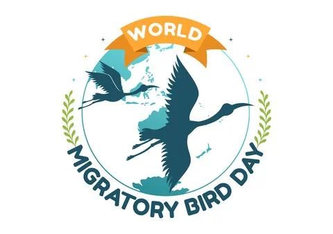World Migratory Bird Day on May 8 Illustration with Birds Migrations Groups.. Stock Illustration