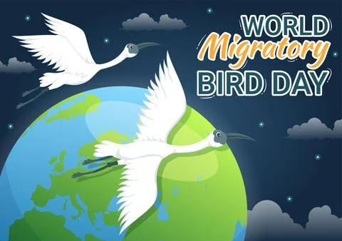 World Migratory Bird Day on May 8 Illustration with Birds Migrations Groups.. Stock Illustration