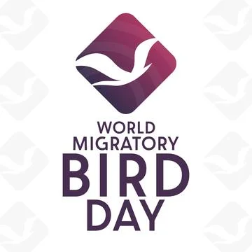 World Migratory Bird Day. Vector illustration. Holiday poster. Illustrazione stock