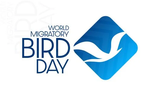 World Migratory Bird Day. Vector illustration. Holiday poster. Stock Illustration