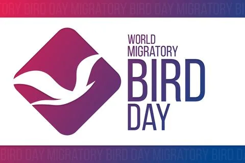 World Migratory Bird Day. Vector illustration. Holiday poster. Illustrazione stock