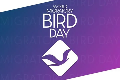 World Migratory Bird Day. Vector illustration. Holiday poster. Illustrazione stock