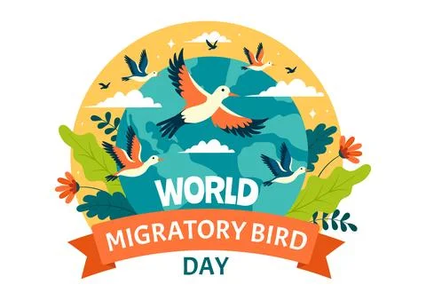 World Migratory Bird Day Vector Illustration with Birds Migrations Groups a.. Stock Illustration