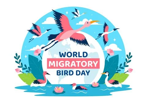 World Migratory Bird Day Vector Illustration with Birds Migrations Groups a.. Stock Illustration