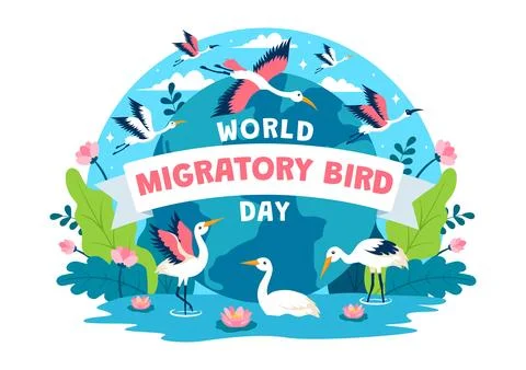 World Migratory Bird Day Vector Illustration with Birds Migrations Groups a.. Stock Illustration