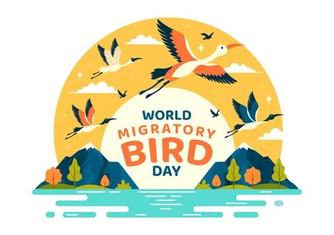 World Migratory Bird Day Vector Illustration with Birds Migrations Groups a.. Stock Illustration