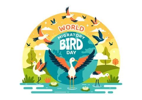 World Migratory Bird Day Vector Illustration with Birds Migrations Groups a.. Stock Illustration