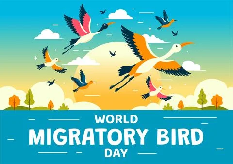 World Migratory Bird Day Vector Illustration with Birds Migrations Groups a.. Stock Illustration