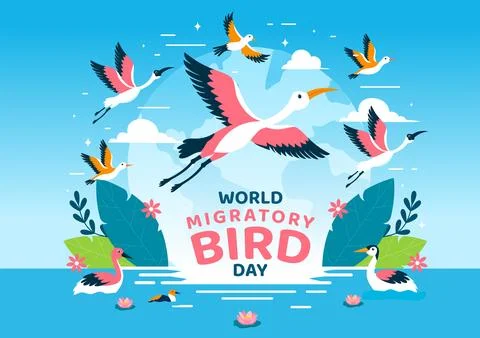 World Migratory Bird Day Vector Illustration with Birds Migrations Groups a.. Stock Illustration