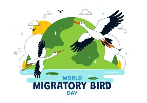 World Migratory Bird Day Vector Illustration Featuring Flying Storks Over W.. Stock Illustration