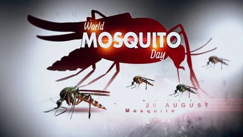 World Mosquito Day Stock Footage 157037474