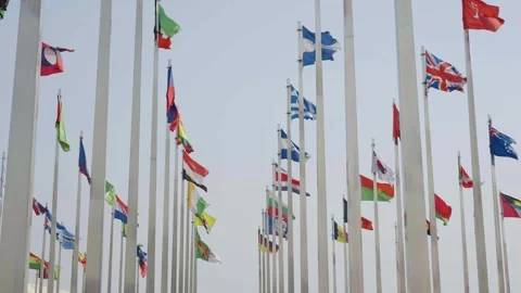 World national flags 스톡 동영상 240162189