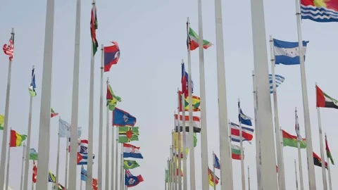 World national flags 스톡 동영상 240162225