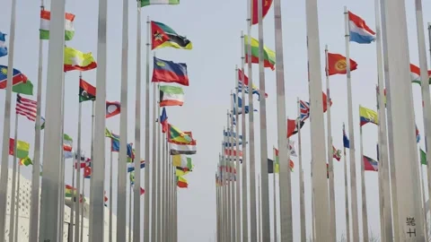 World national flags 스톡 동영상 240162251