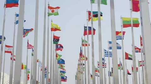 World national flags 스톡 동영상 240162258