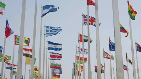 World national flags 스톡 동영상 240162333
