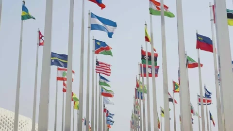 World national flags 스톡 동영상 240162627