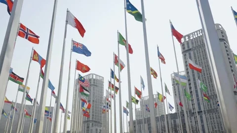 World national flags 스톡 동영상 240162989