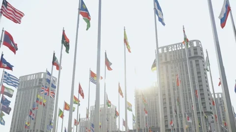 World national flags 스톡 동영상 240163133