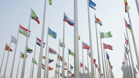 World national flags 스톡 동영상 240163143