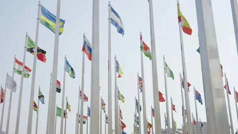 World national flags 스톡 동영상 240163384