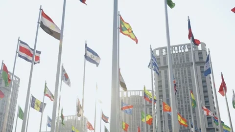 World national flags 스톡 동영상 240163924