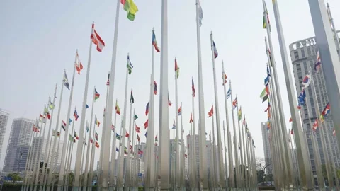 World national flags 스톡 동영상 240164286