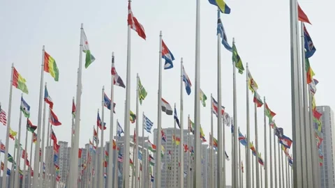 World national flags 스톡 동영상 240164688