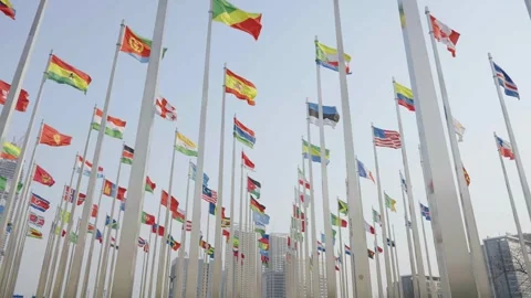 World national flags Video stock 240166405