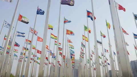 World national flags Video stock 240166406