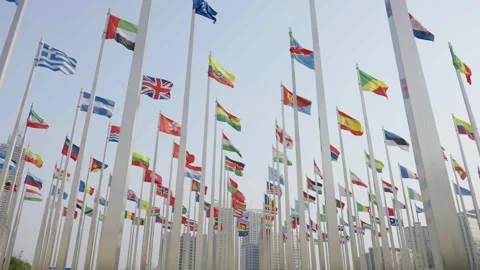 World national flags Video stock 240166408