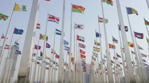 World national flags Video stock 240166417