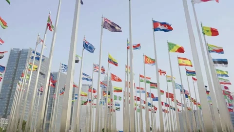 World national flags Video stock 240167497
