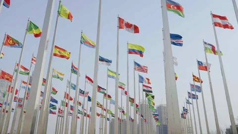 World national flags Video stock 240167499