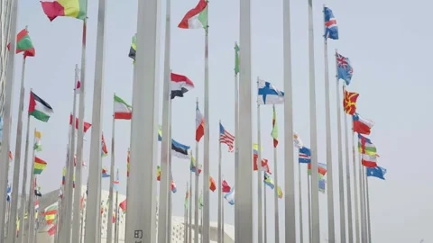 World national flags Video stock 240167793