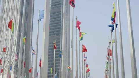 World national flags Video stock 240167817