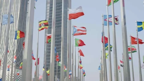 World national flags Video stock 240167868