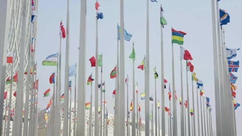 World national flags Video stock 240167883