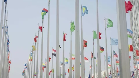World national flags Video stock 240168058