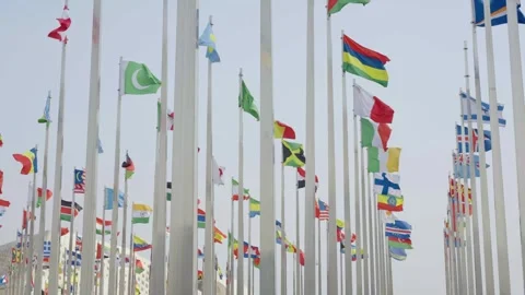 World national flags Video stock 240168075