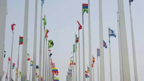 World national flags Video stock 240168318