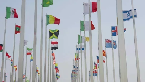 World national flags Video stock 240168346