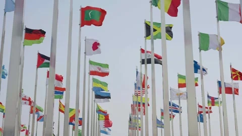 World national flags Video stock 240168684