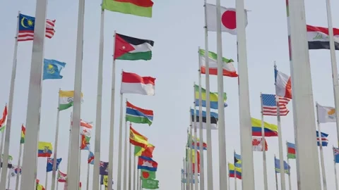 World national flags Video stock 240168762