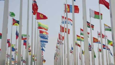 World national flags Video stock 240169180