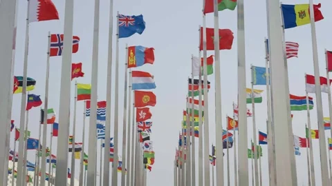 World national flags Video stock 240169188